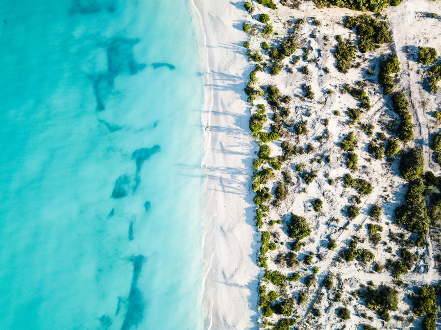 Turks Blue Lagoon in Turks and Caicos